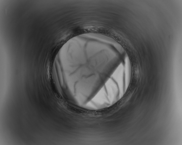 X0000086771060200705111731