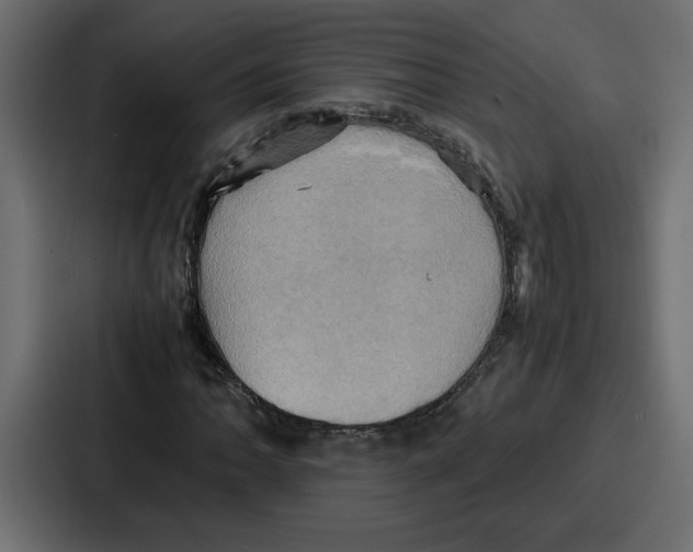 X0000086771062200705111731