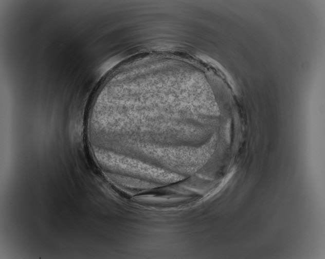 X0000086771065200705111730
