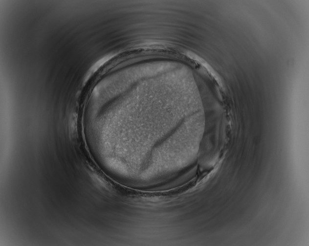 X0000086771066200705111730