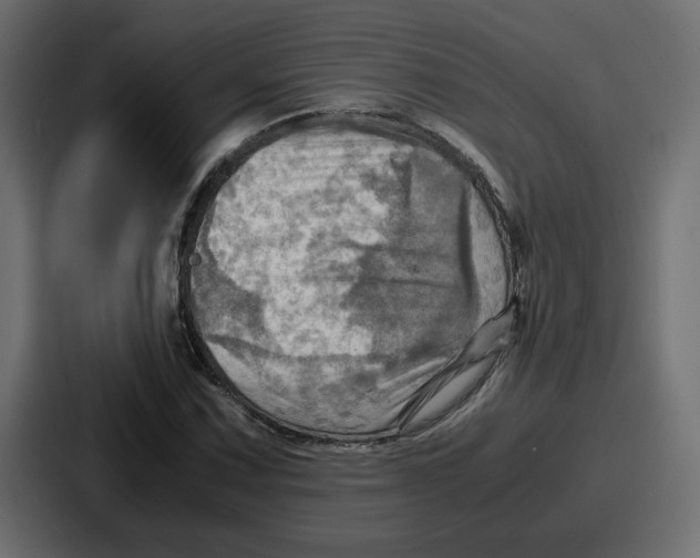 X0000086771067200705111730