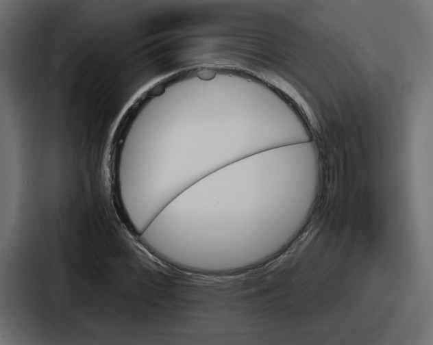 X0000086771068200705111730