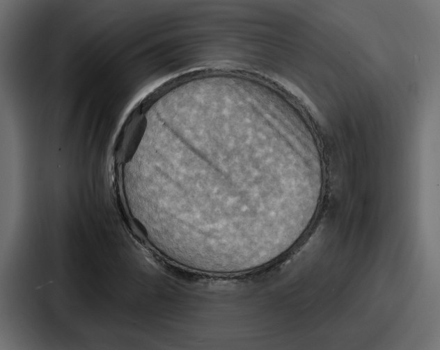 X0000086771070200705111730