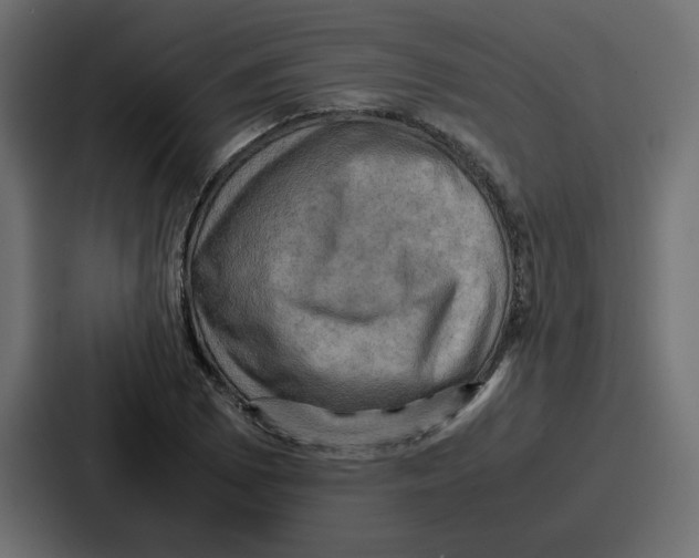 X0000086771073200705111730