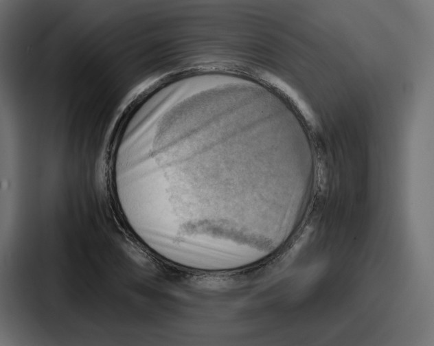X0000086771074200705111730
