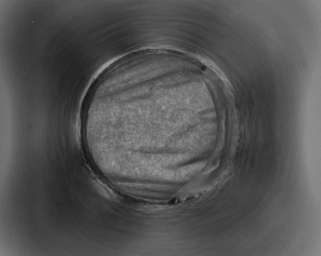 X0000086771076200705111730