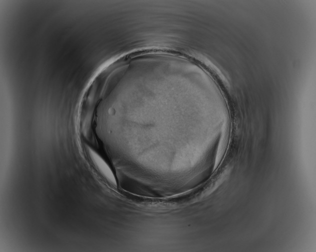 X0000086771077200705111730