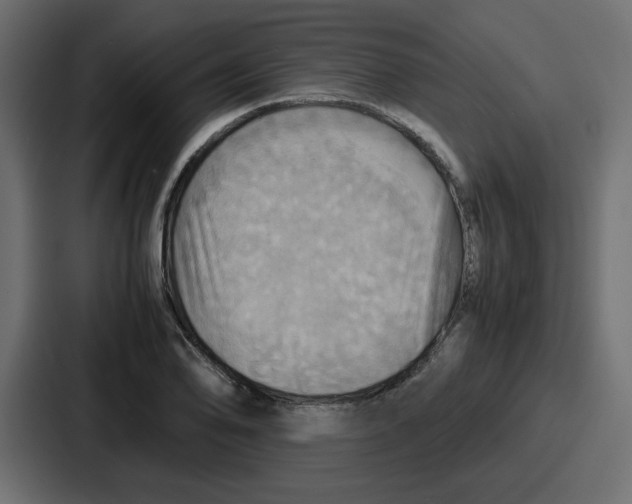 X0000086771078200705111730