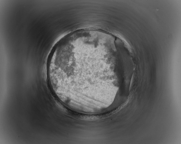 X0000086771079200705111730
