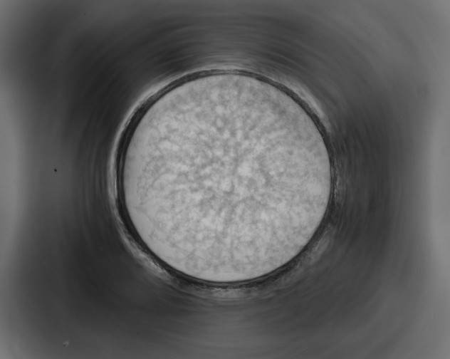 X0000086771080200705111730