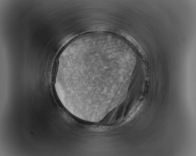 X0000086771081200705111730