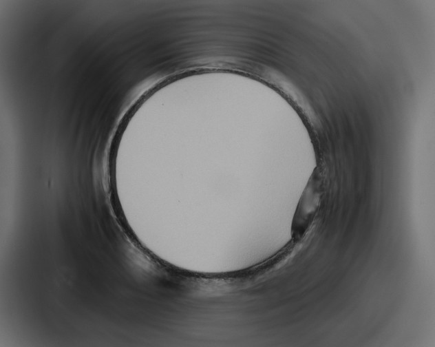 X0000086771082200705111730