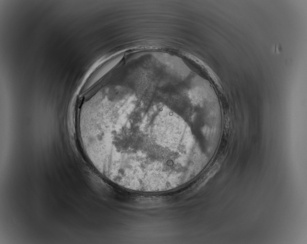 X0000086771083200705111730