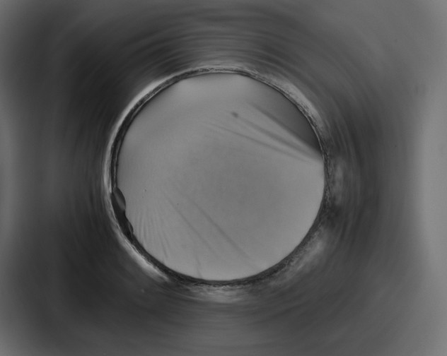 X0000086771084200705111730