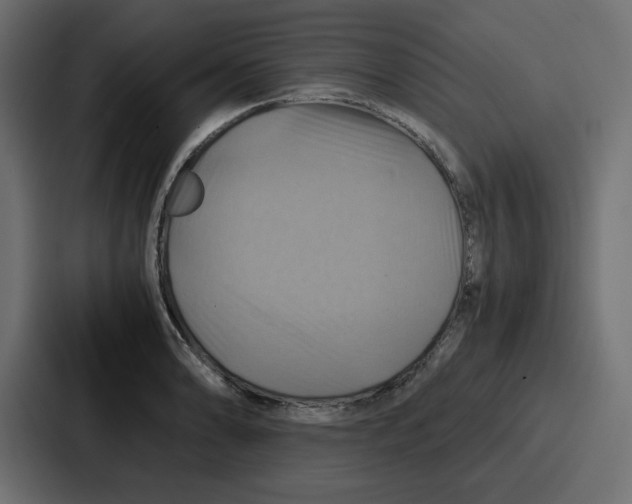 X0000086771086200705111730