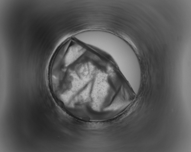 X0000086771087200705111730