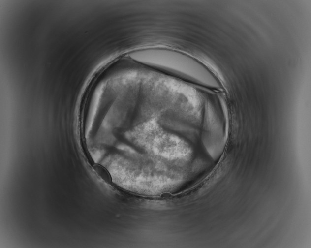 X0000086771088200705111730