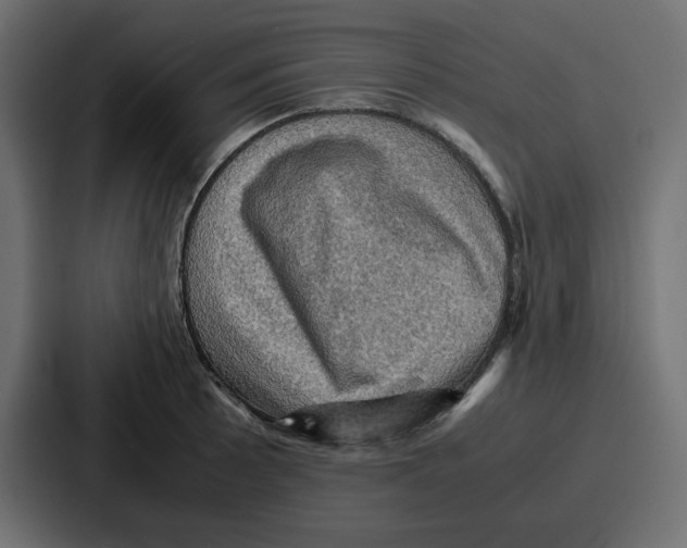 X0000086771089200705111730