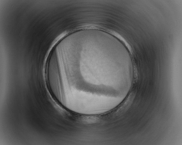 X0000086771090200705111730
