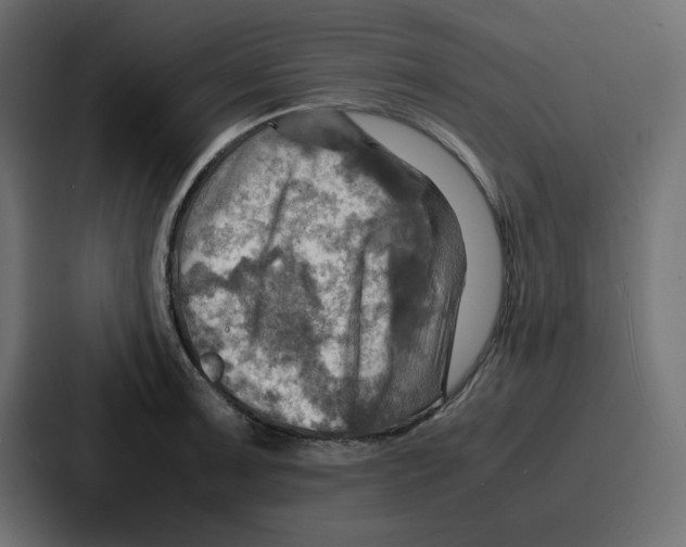 X0000086771091200705111730