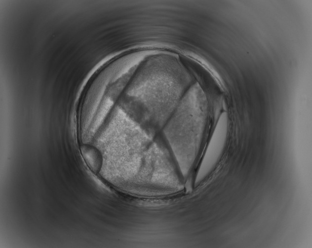 X0000086771092200705111730