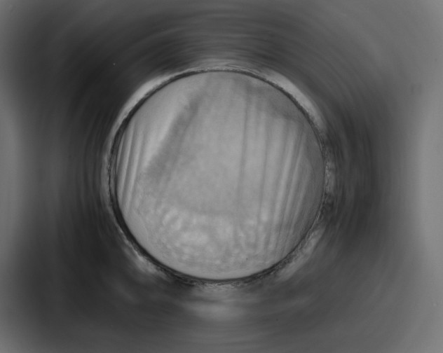 X0000086771094200705111730