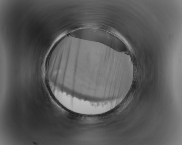X0000086771095200705111730