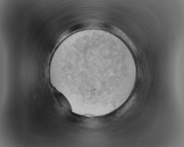 X0000086771097200705111730