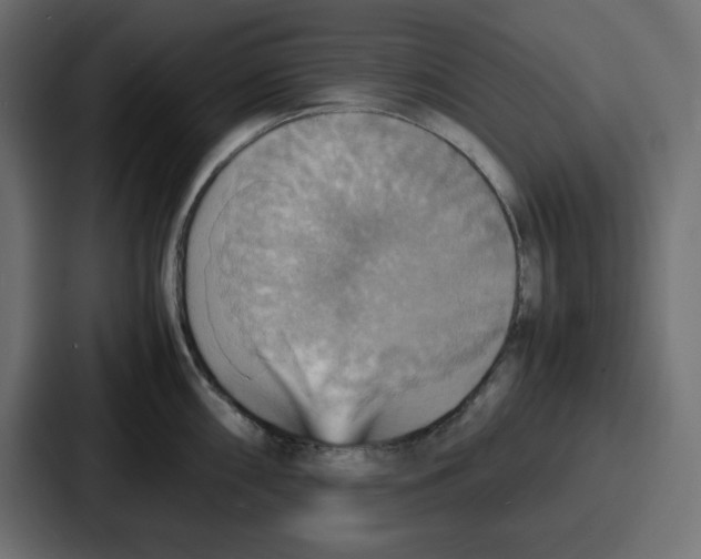 X0000086771098200705111730
