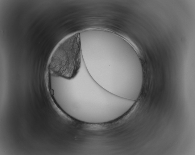 X0000086771100200705111730