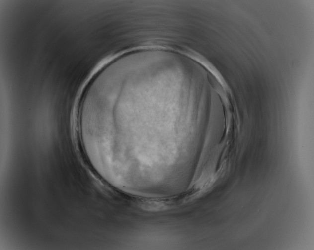 X0000086771101200705111730