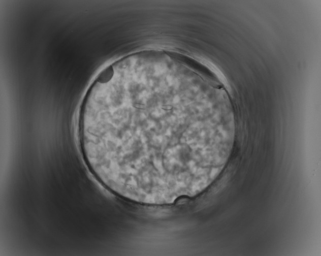 X0000086771103200705111730