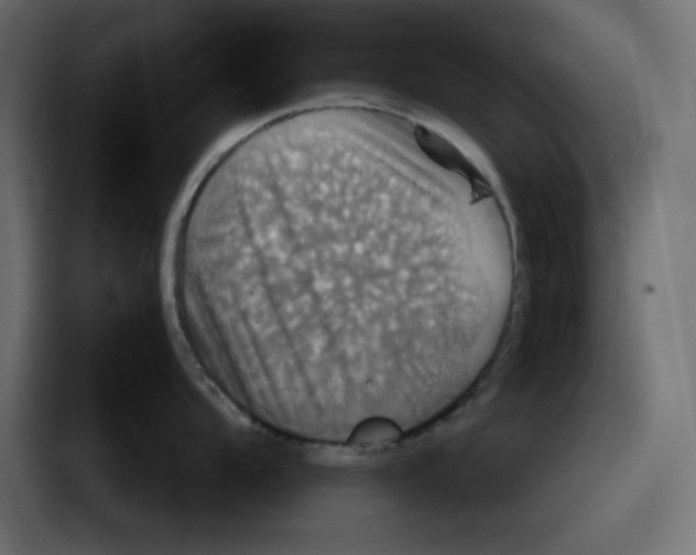 X0000086771104200705111730