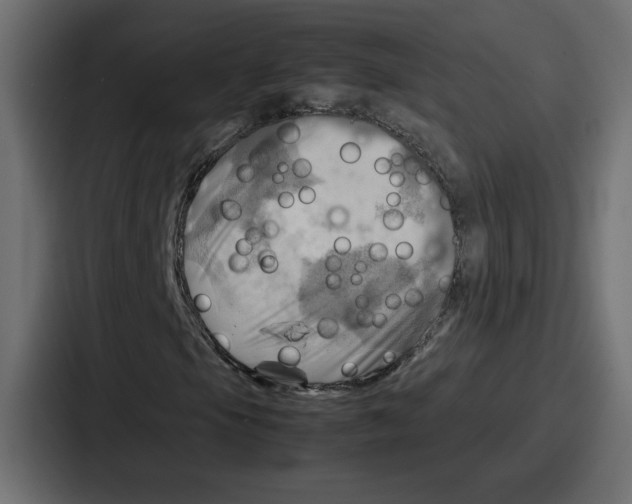 X0000086771105200705111729