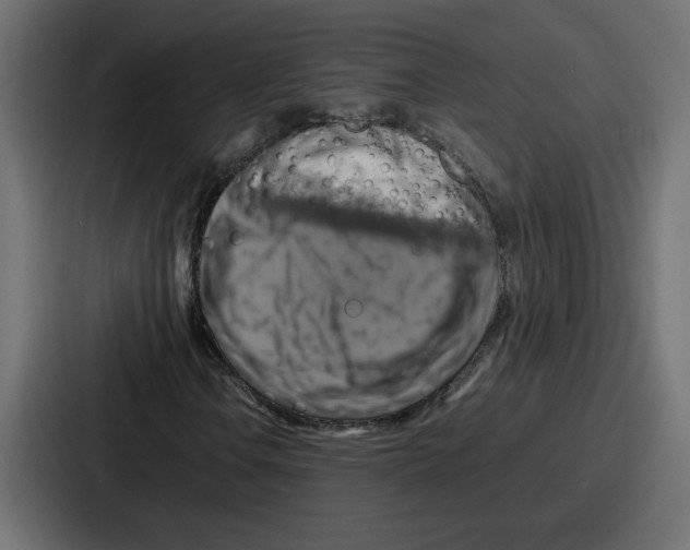 X0000086771106200705111729
