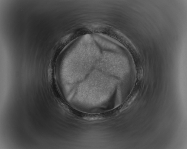 X0000086771108200705111729