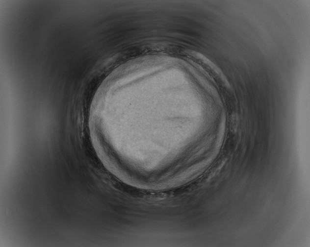 X0000086771111200705111729