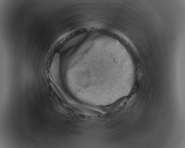 X0000086771112200705111729