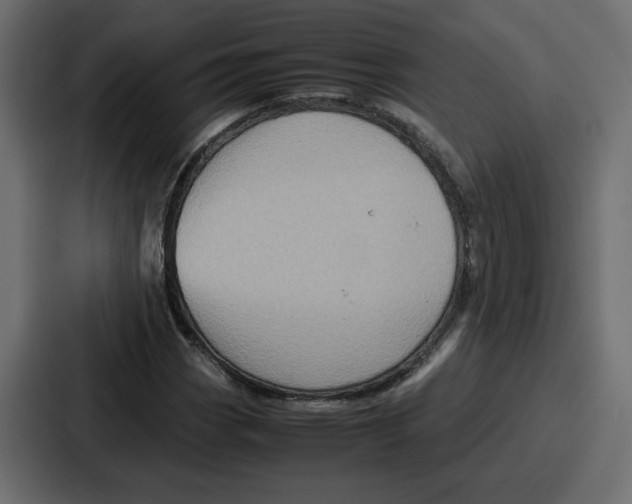 X0000086771113200705111729
