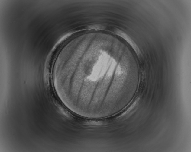 X0000086771115200705111729