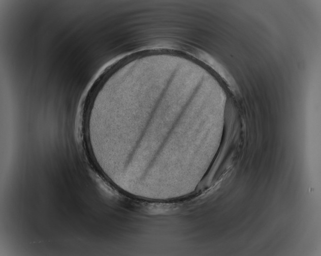 X0000086771116200705111729