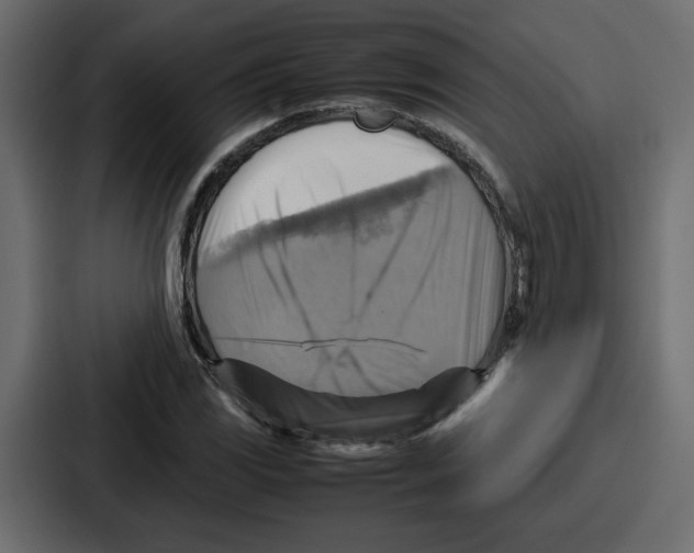X0000086771117200705111729