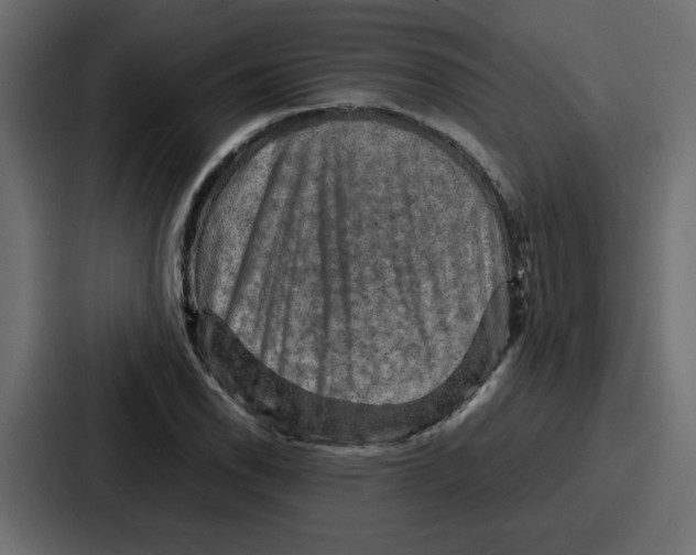 X0000086771118200705111730