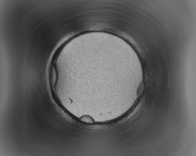 X0000086771122200705111730
