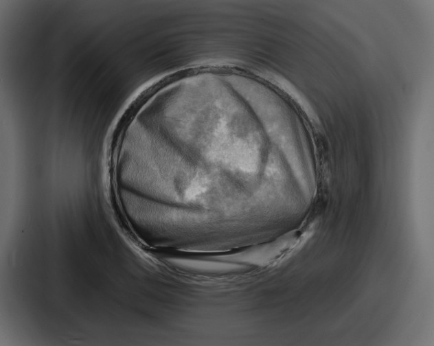 X0000086771124200705111730