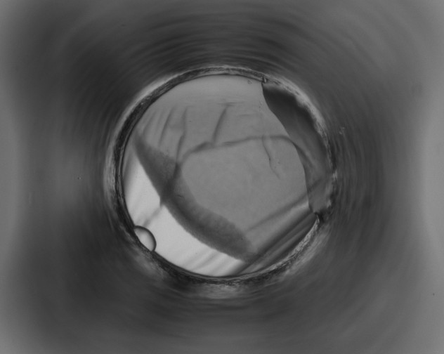 X0000086771125200705111730