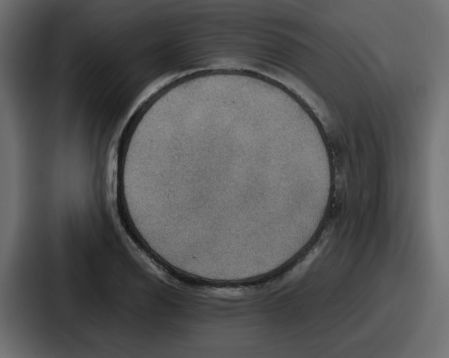 X0000086771126200705111730
