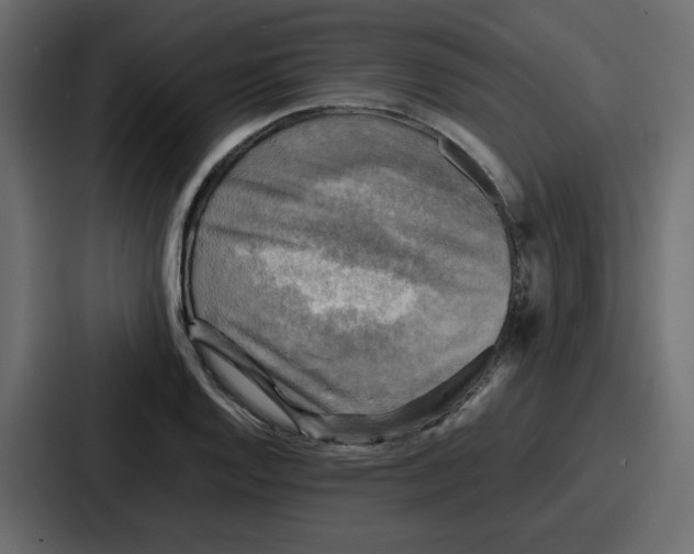 X0000086771128200705111730