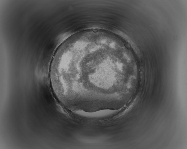 X0000086771129200705111730