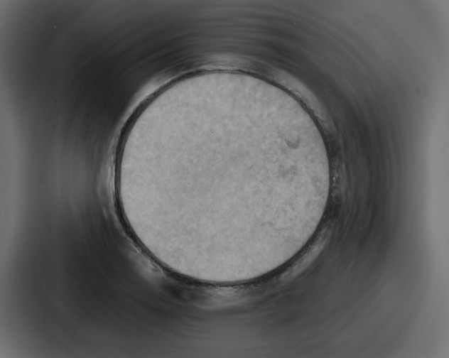 X0000086771130200705111730